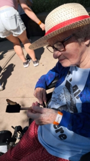 Keystone Safari website 8