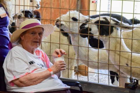 Keystone Safari website 83