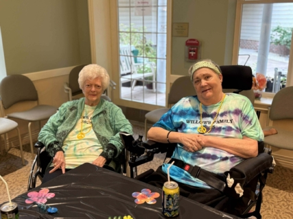 Willows family picnic 2025 49