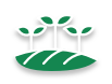 Multi-Family Allotment Properties