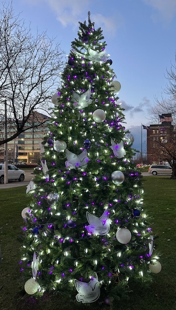 BTN Tree 2024 2024 11 27 162133 vdvk