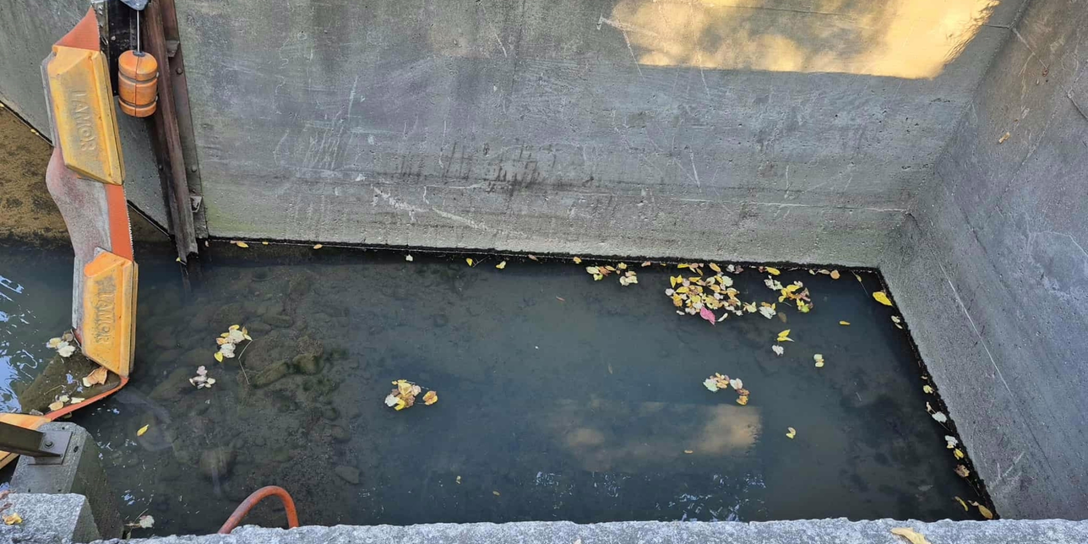 Cascade Creek Catch Basin