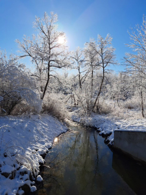 Snowy wetland creek sm