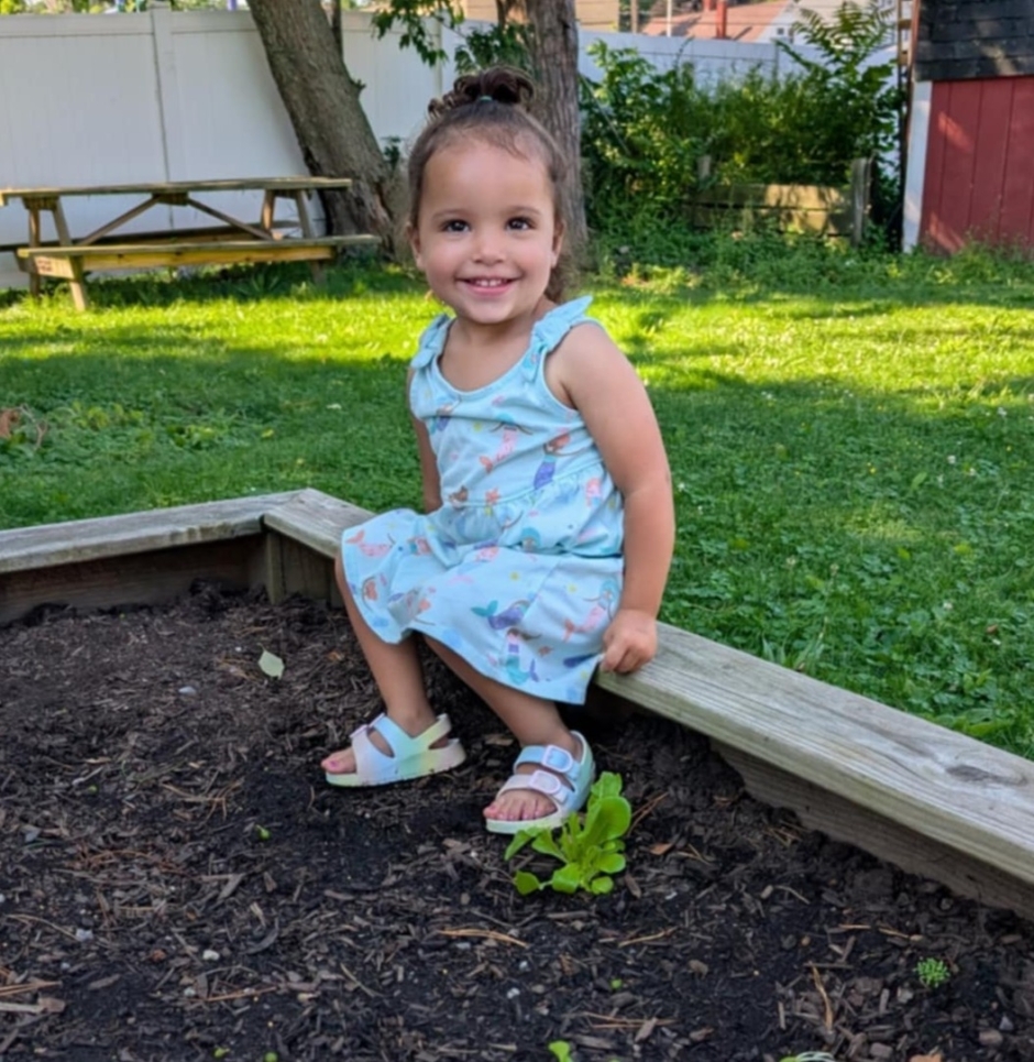 8cead0b6 99f7 40c7 8340 4b265a22378a 2025 12 03 171300 npsa