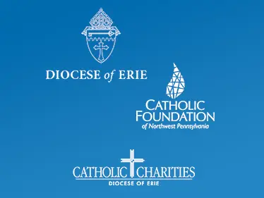 COVID 19 Emergency Relief Effort