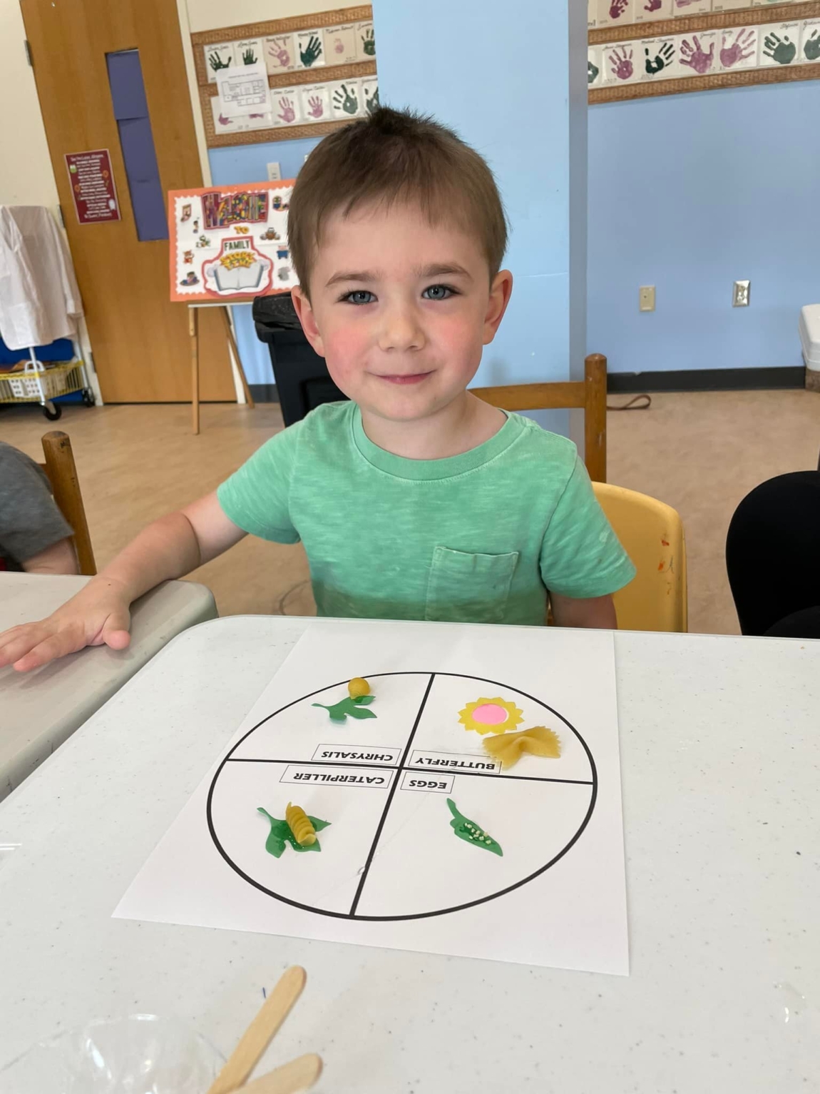 Butterfly class
