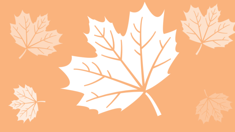 Fall2026 Storytimes webban 2026