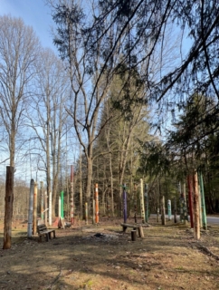 Resident Camp Totems
