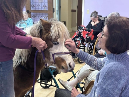 RWSV Therapy horse march 1
