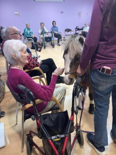 RWSV Therapy horse march 10