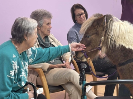 RWSV Therapy horse march 11