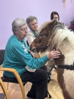RWSV Therapy horse march 12
