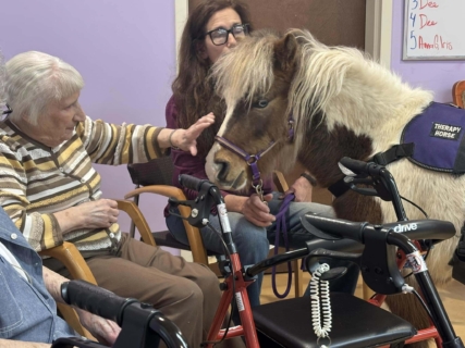 RWSV Therapy horse march 14