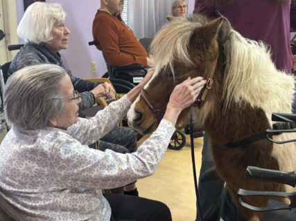 RWSV Therapy horse march 15