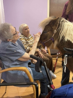 RWSV Therapy horse march 16
