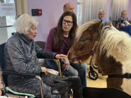 RWSV Therapy horse march 17