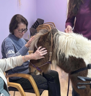 RWSV Therapy horse march 18
