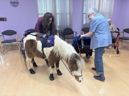 RWSV Therapy horse march 2