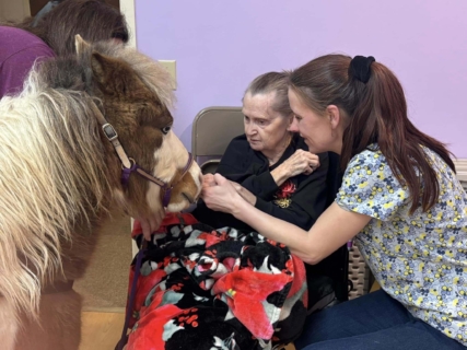 RWSV Therapy horse march 20