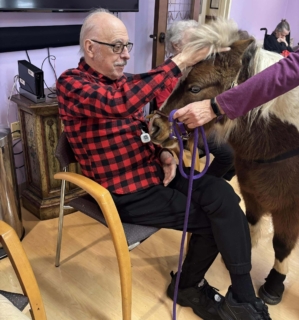 RWSV Therapy horse march 3