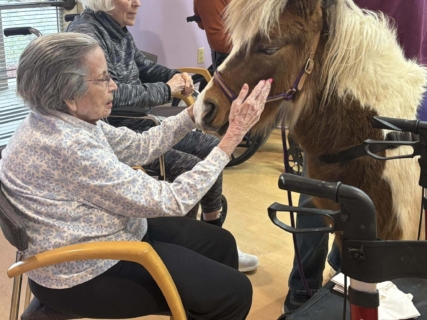 RWSV Therapy horse march 4