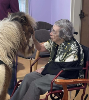 RWSV Therapy horse march 6