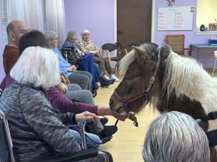 RWSV Therapy horse march 9