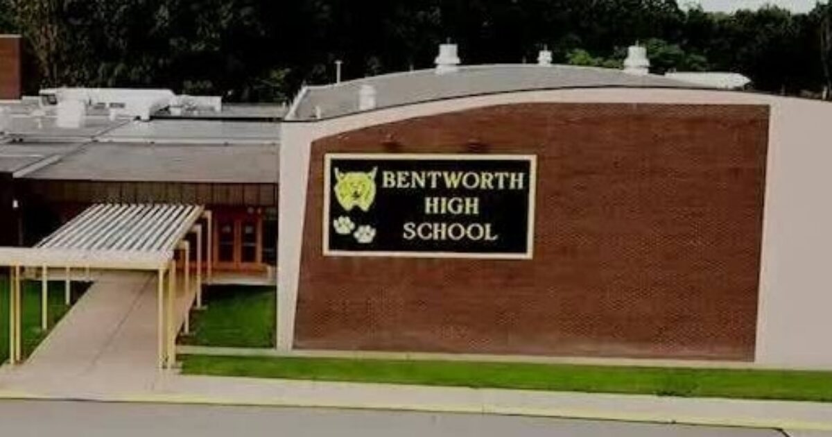 Bentworth School District Community Snapshot